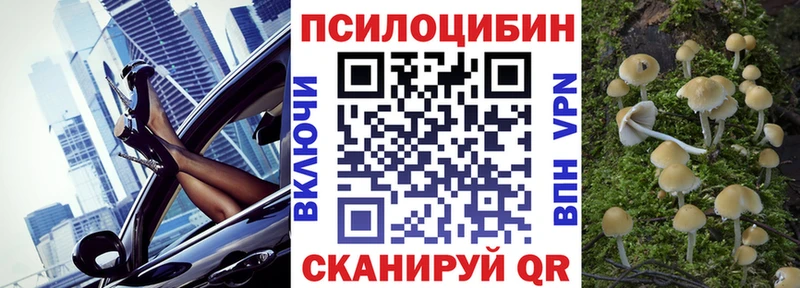 Псилоцибиновые грибы Psilocybe  MEGA зеркало  Кисловодск 
